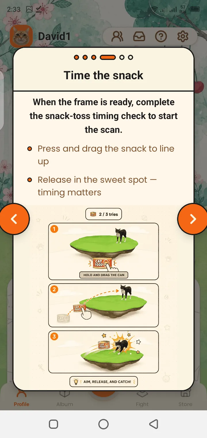 CatchCat APK AI cat breed recognition results screen